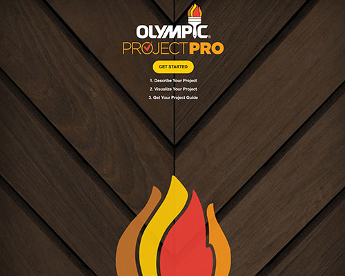 Olympic ProjectPro